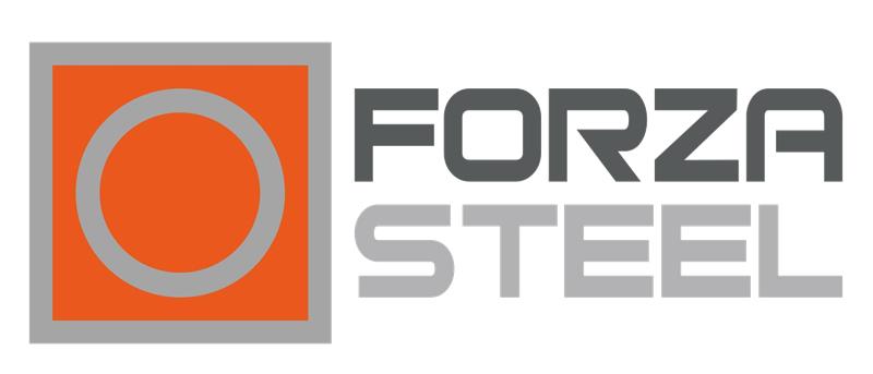Logotipo de forza